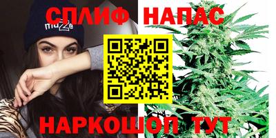 ешки Пенза