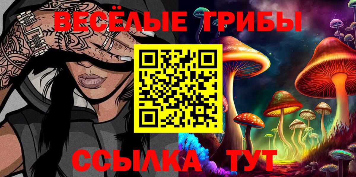 Псилоцибиновые грибы прущие грибы  Вход с VPN  Галлюциногенные грибы ЛСД  Нефтекумск 